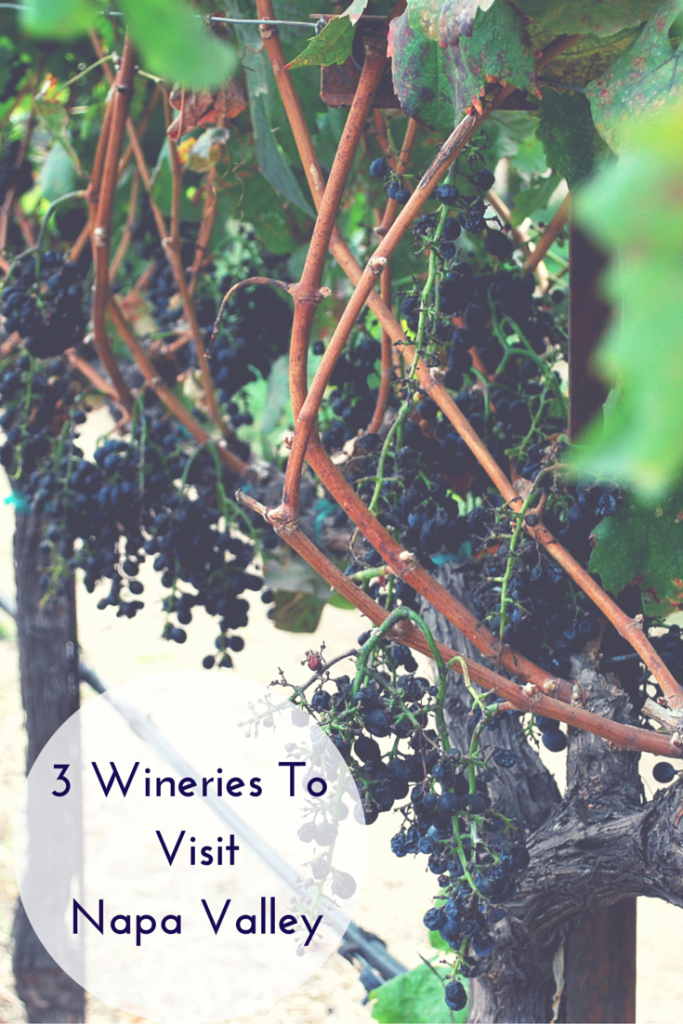 3 wineries to visit Napa Valley