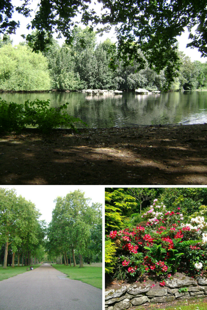 Hyde Park Picnic