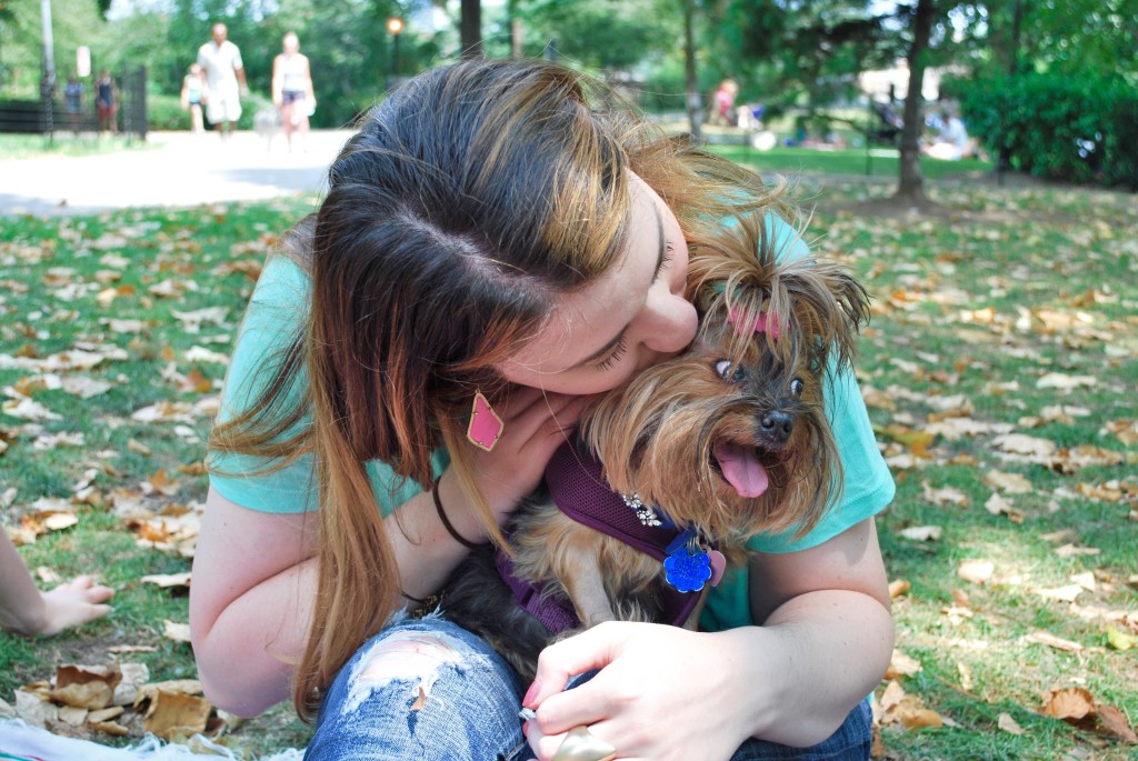 Pixie Stick the Yorkie