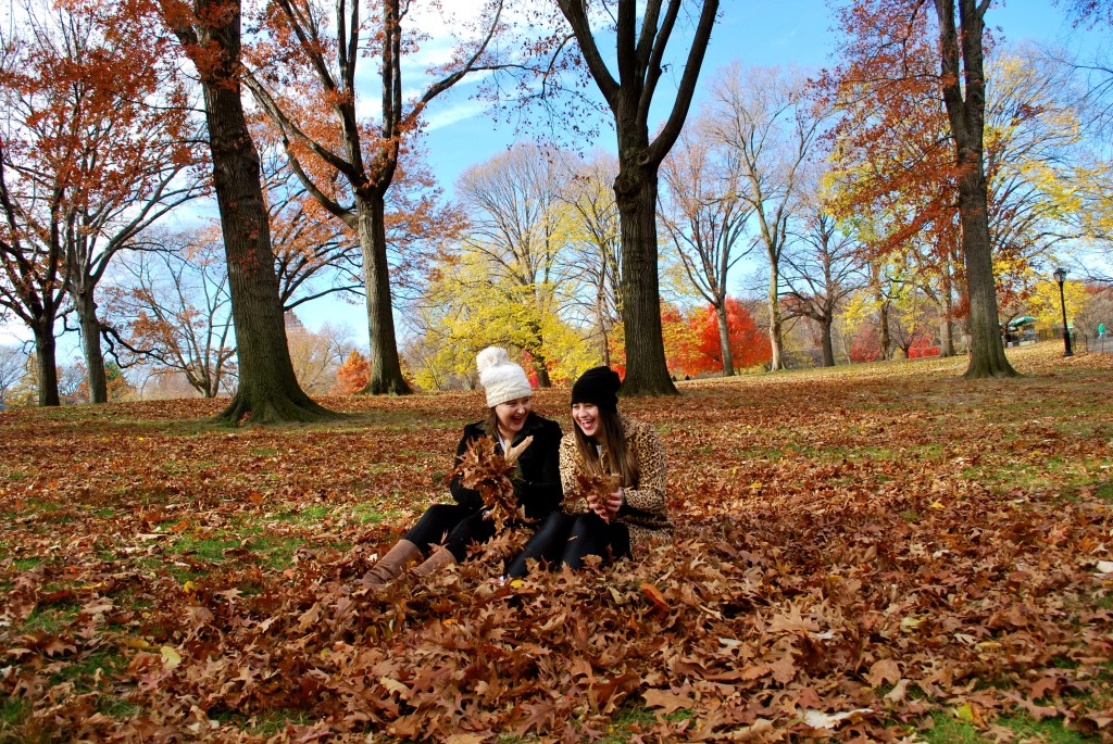 Fall Central Park