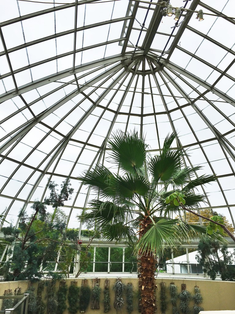 conservatory 