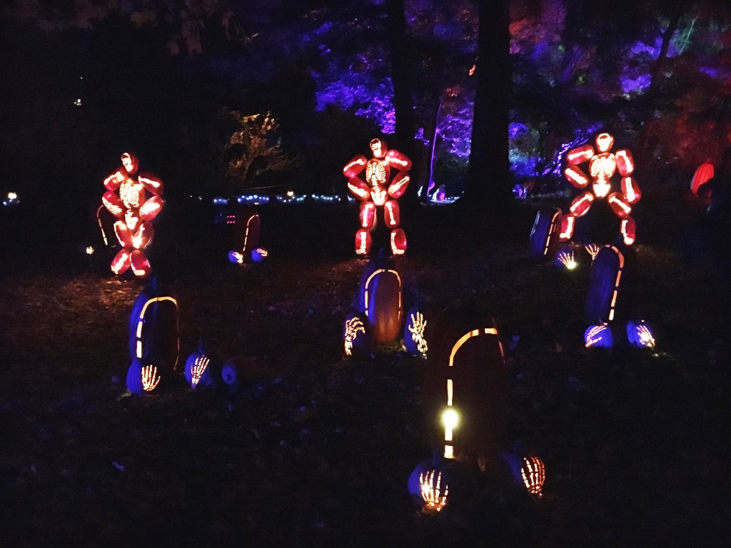 The Great Jack O'Lantern Blaze