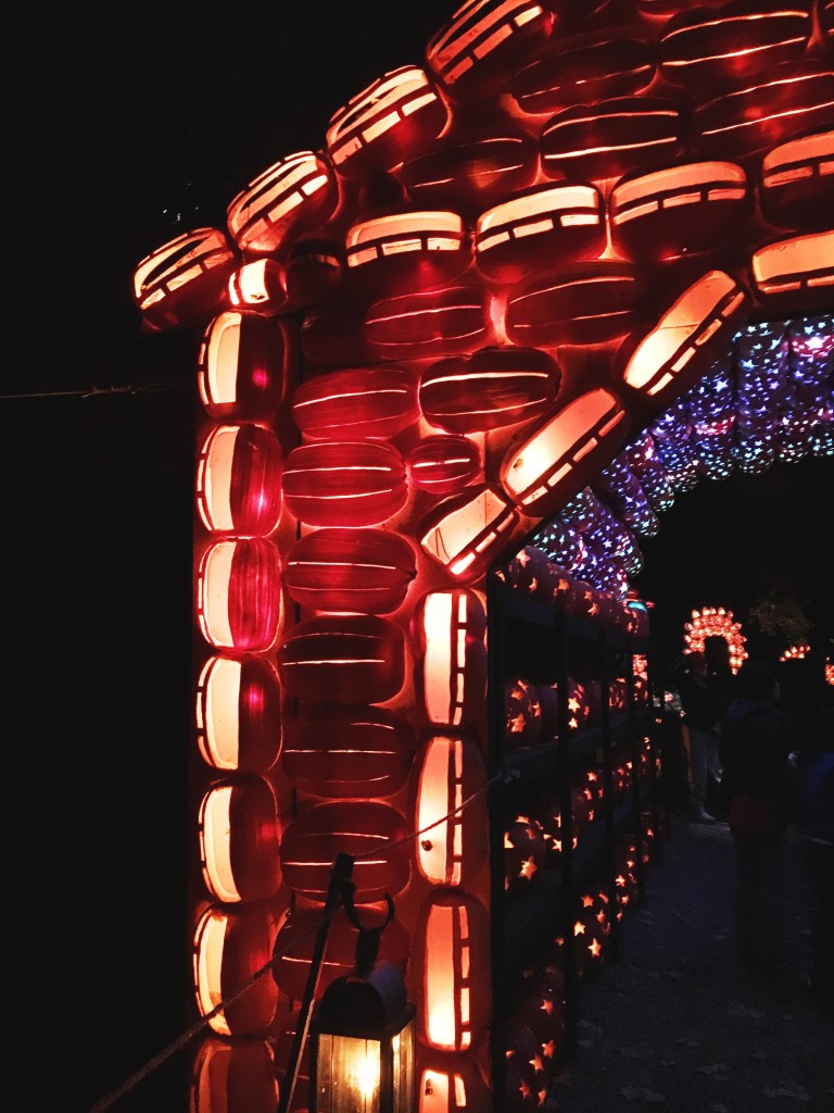 The Great Jack O'Lantern Blaze