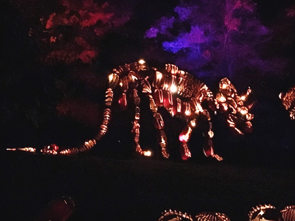 The Great Jack O'Lantern Blaze