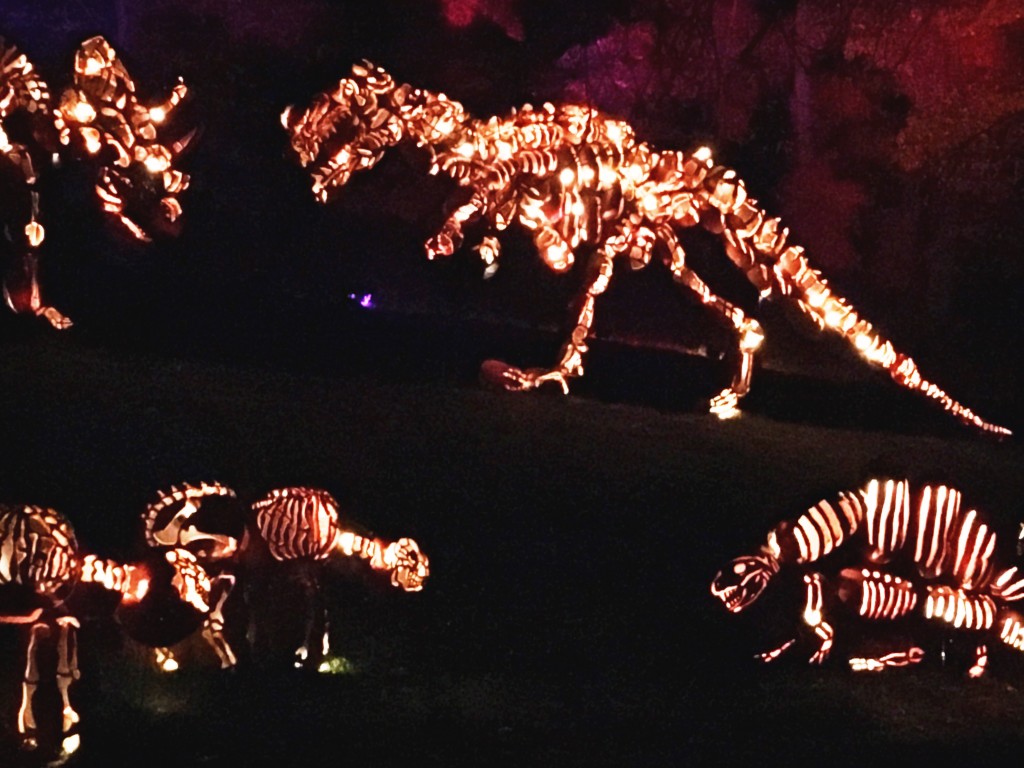 The Great Jack O'Lantern Blaze