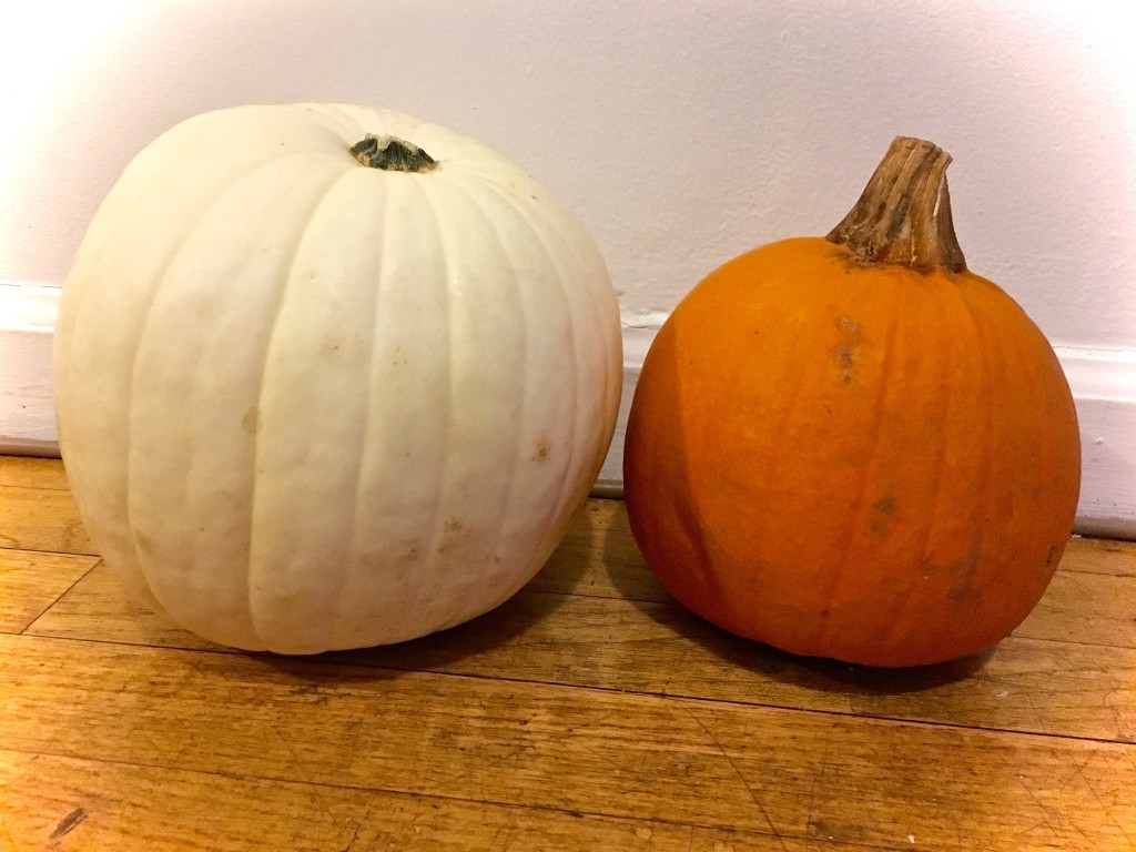 DIY Pumpkins