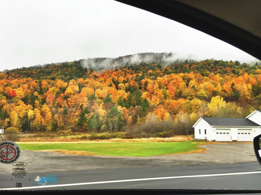 autumn in vermont