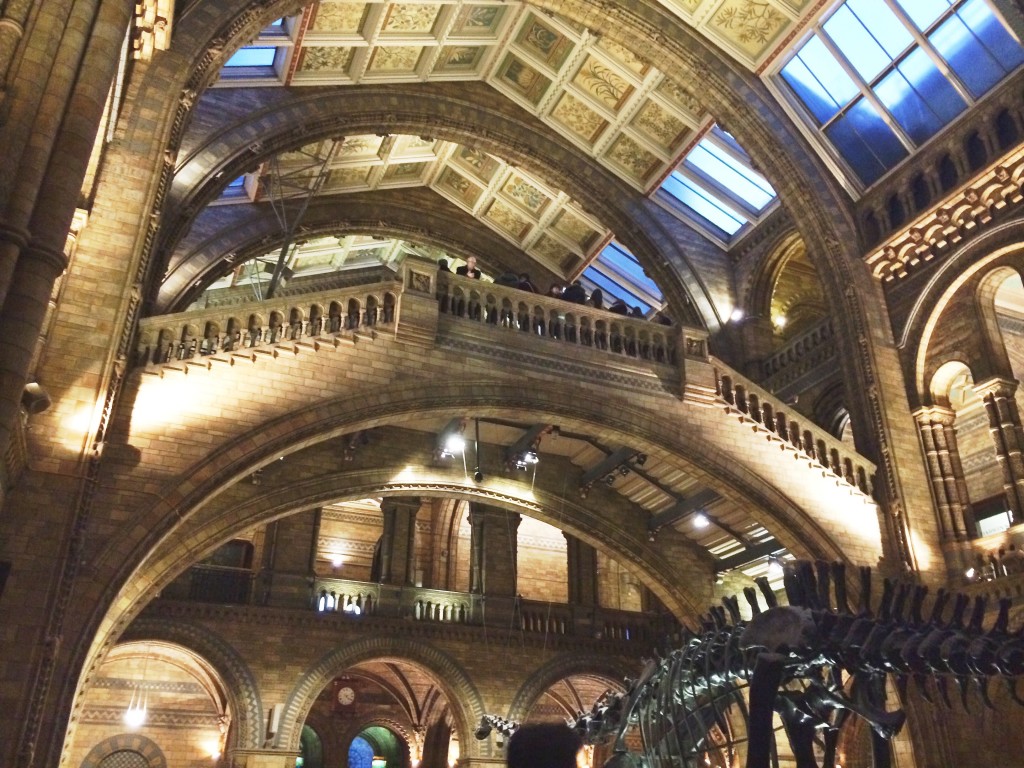 Museum of Natural History