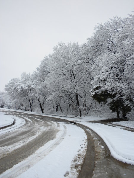 love letter to snow