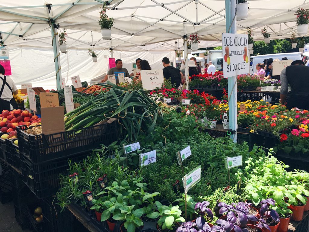 Union Square Greenmarket