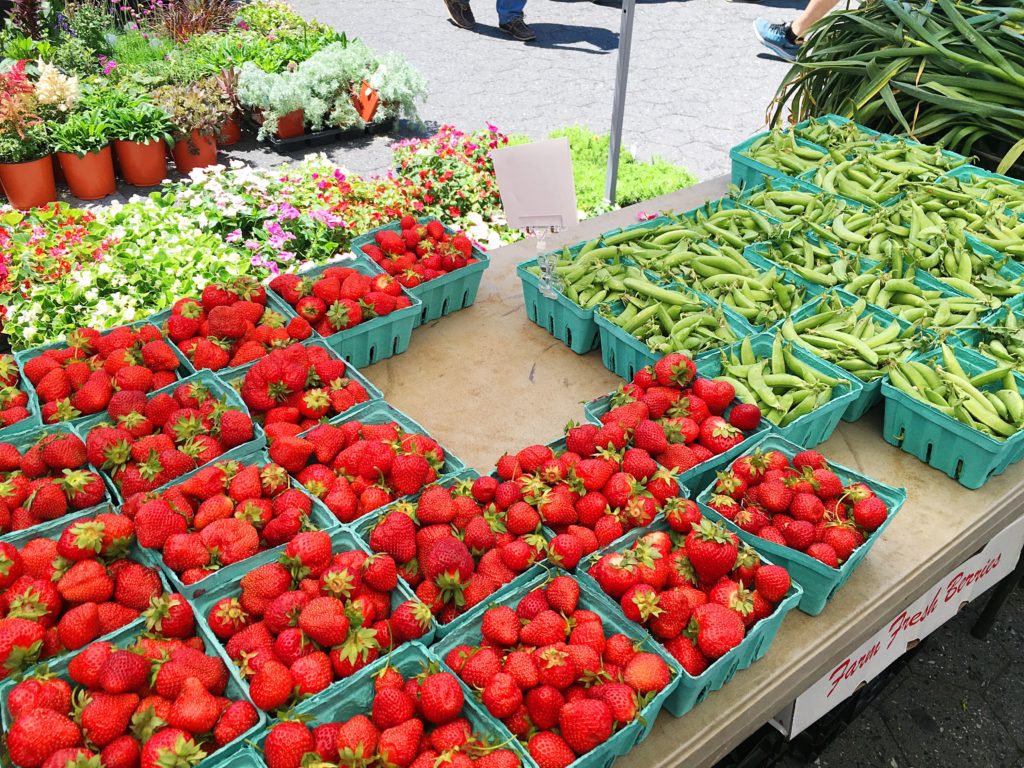 Union Square Greenmarket