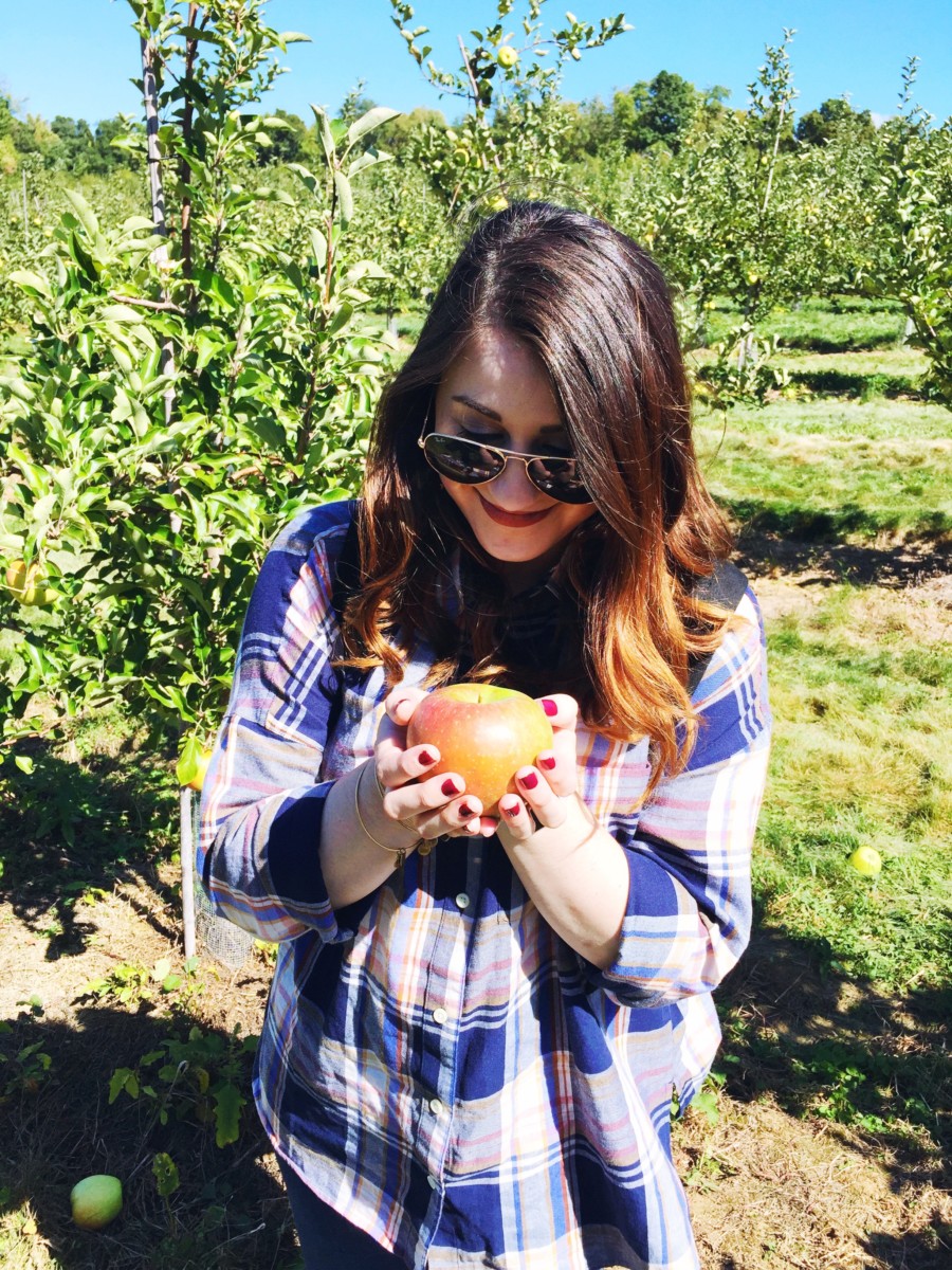 Apple Picking | Harvest Moon Farm & Orchard