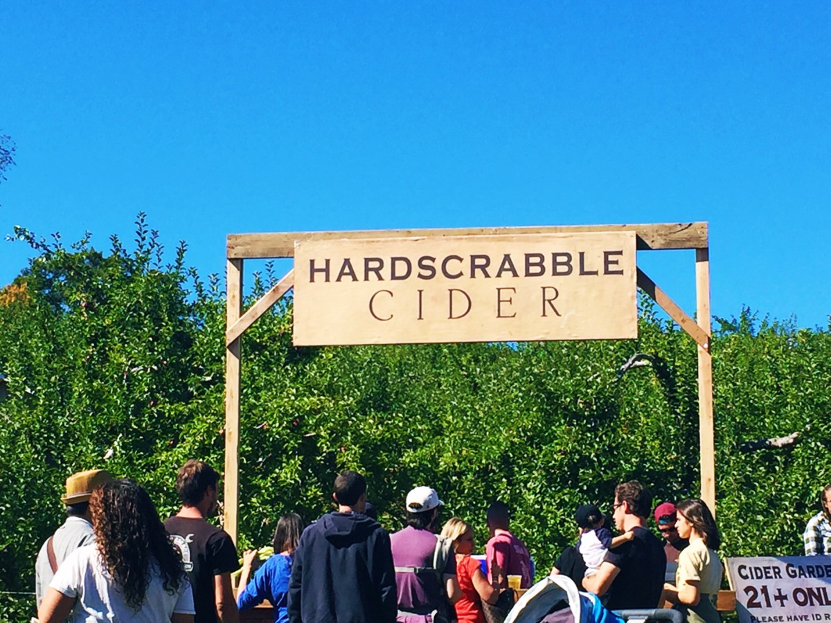 Apple Picking | Harvest Moon Farm & Orchard