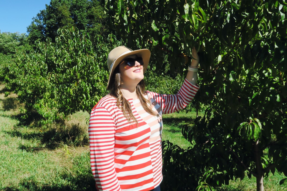 Apple Picking | Harvest Moon Farm & Orchard