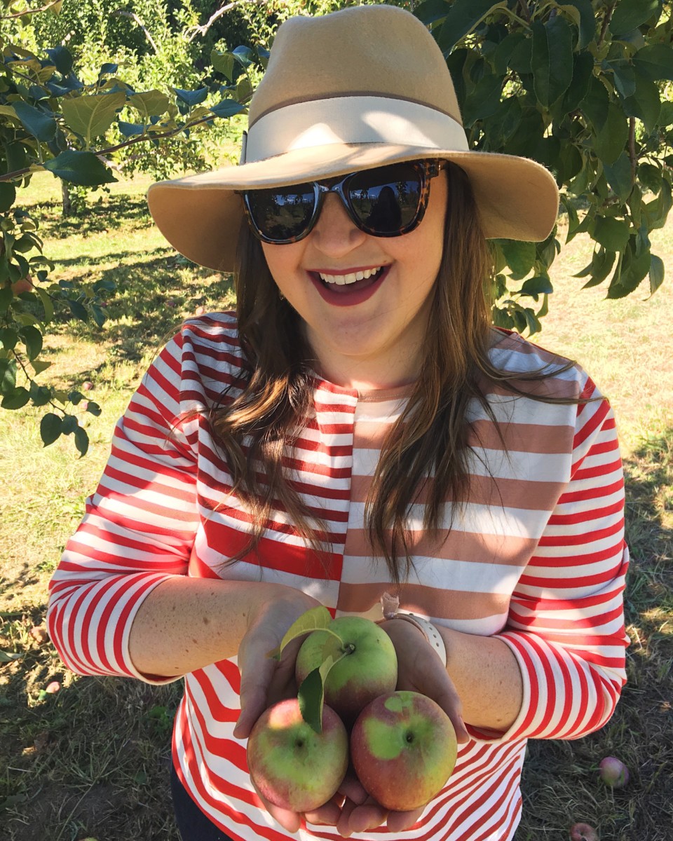 Apple Picking | Harvest Moon Farm & Orchard