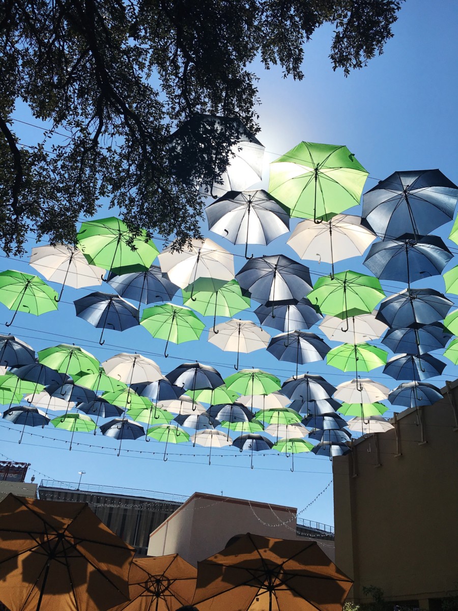 What To Eat At The State Fair Of TX