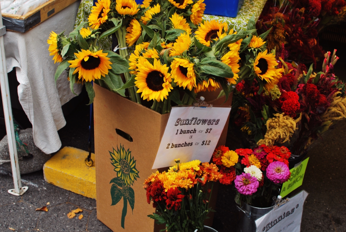 Fall Farmers Market Haul