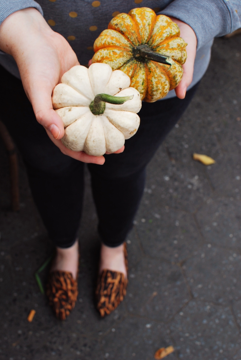 Fall Farmers Market Haul