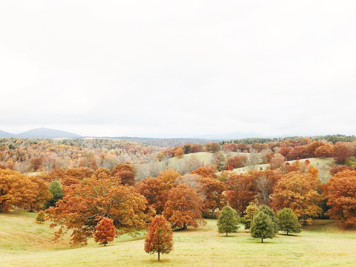 Biltmore | Asheville, NC