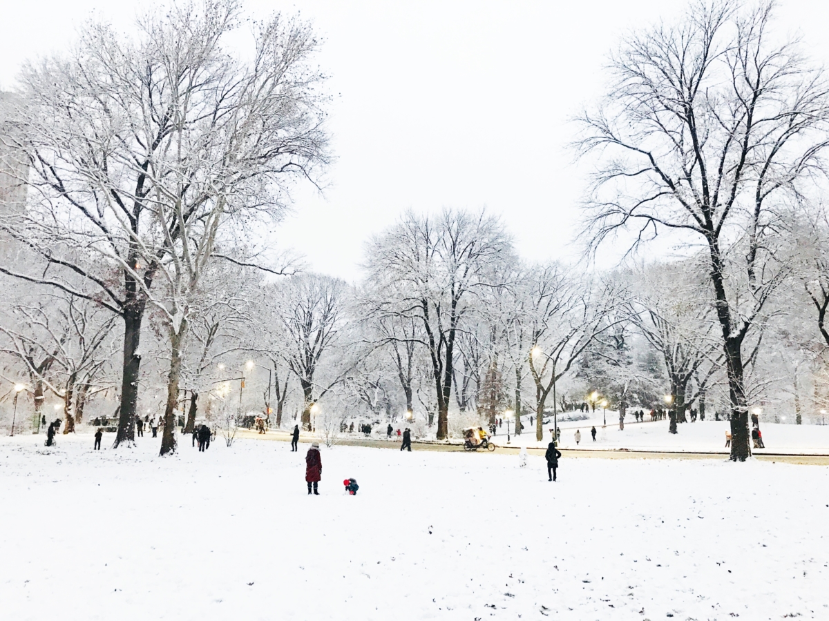 A Very British Snowy Weekend