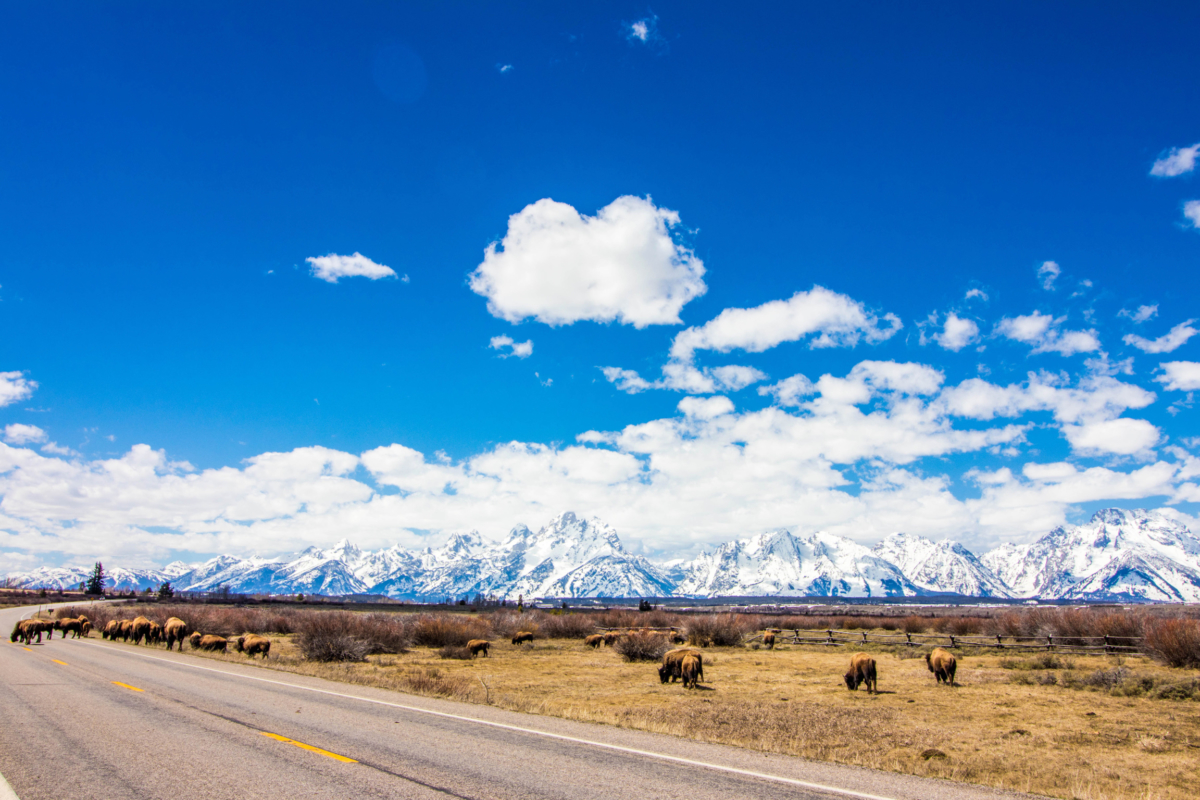 Grand Teton National Park