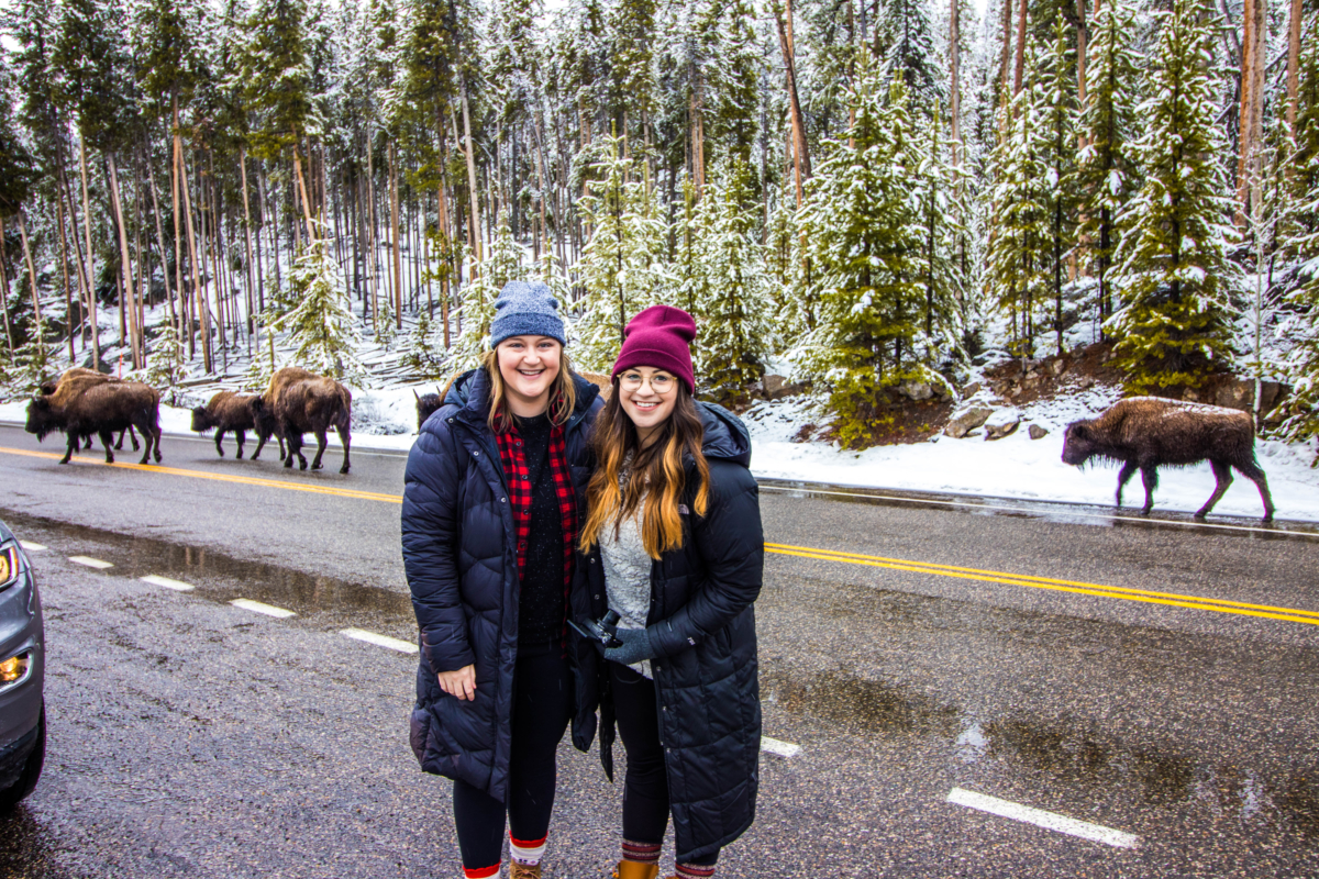 Yellowstone National Park