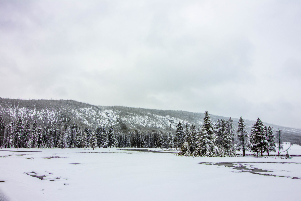 Yellowstone National Park