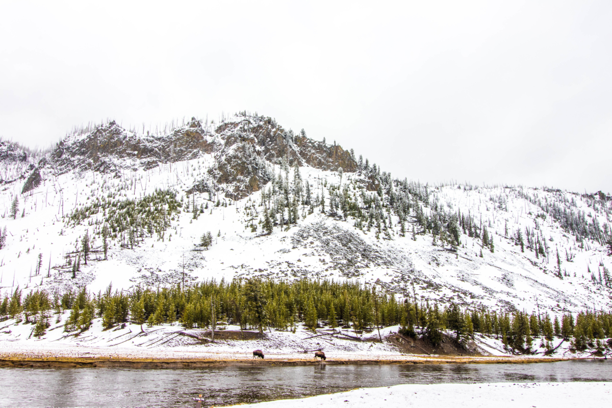 Yellowstone National Park