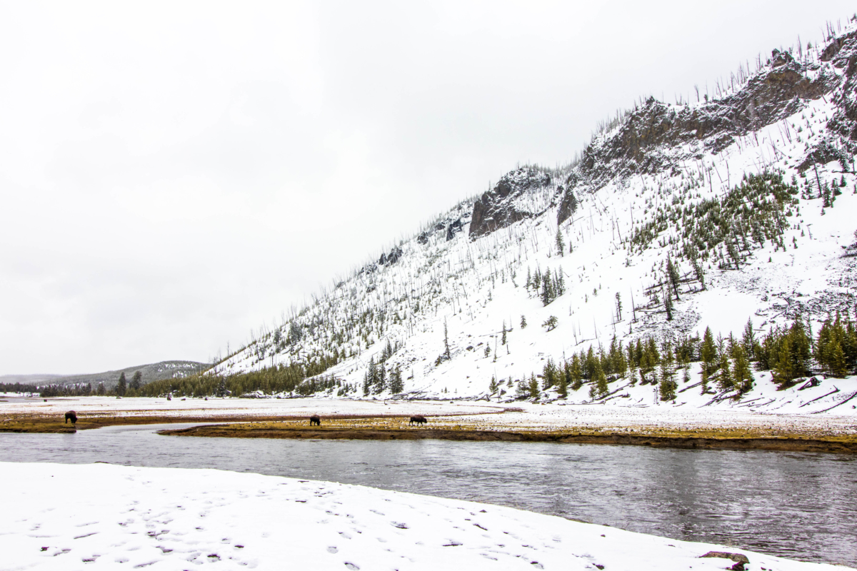 Yellowstone National Park