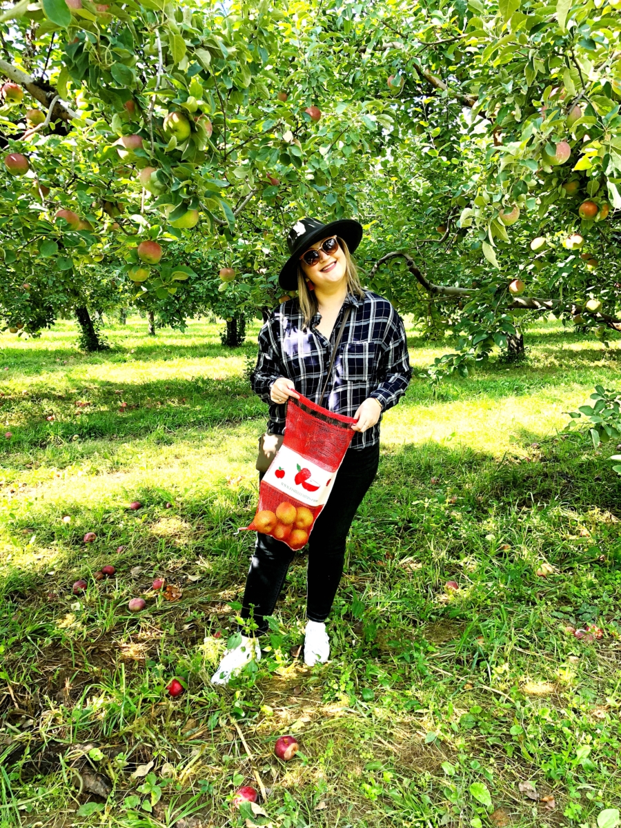 Apple Picking Upstate, NY