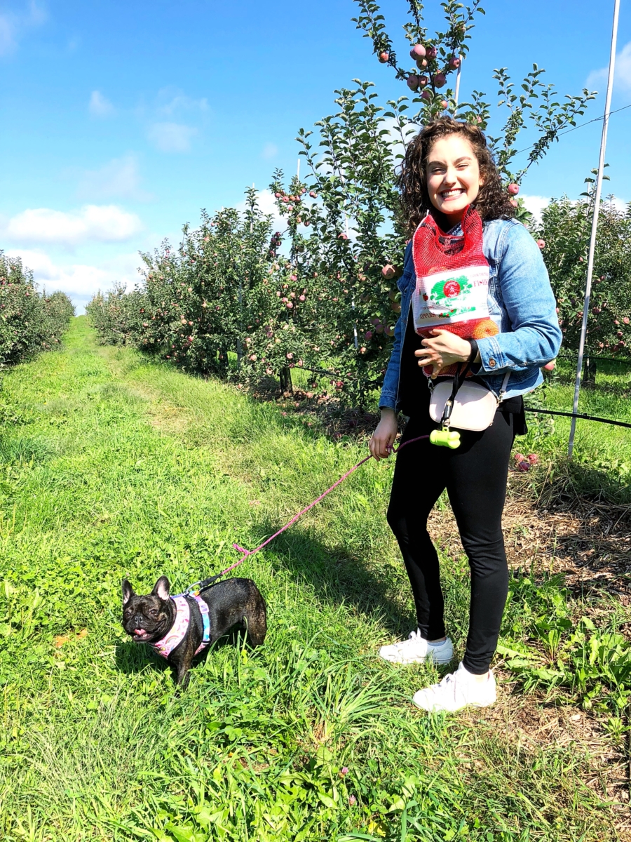 Apple Picking Upstate, NY