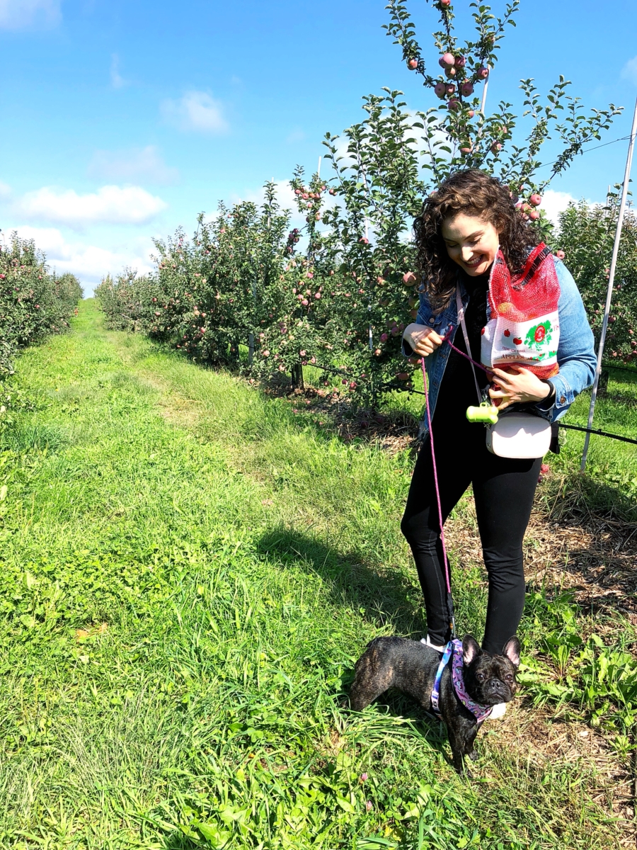 Apple Picking Upstate, NY