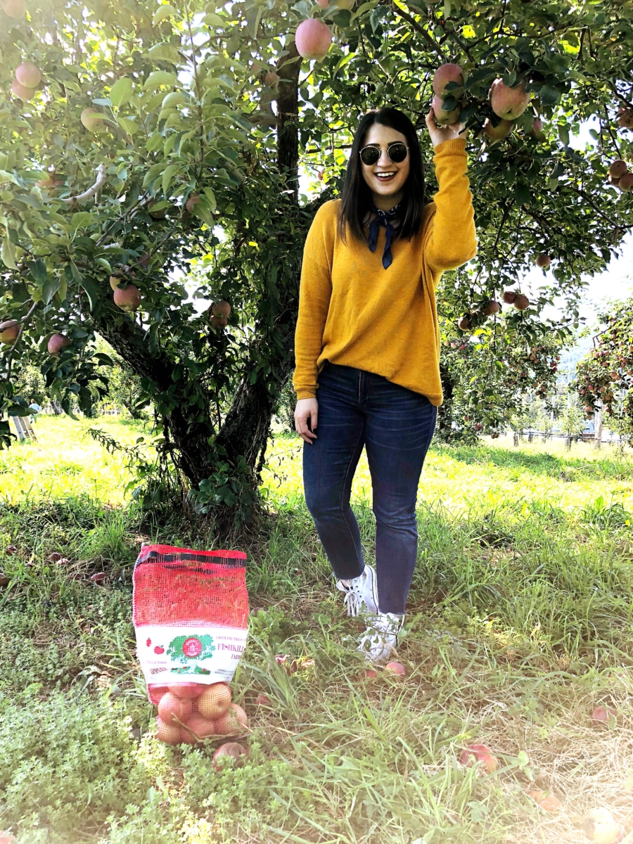 Apple Picking Upstate, NY