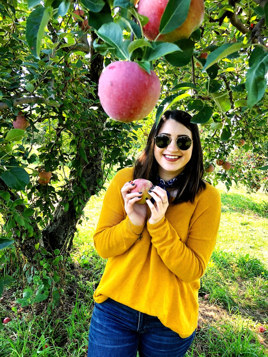 Apple Picking Upstate, NY