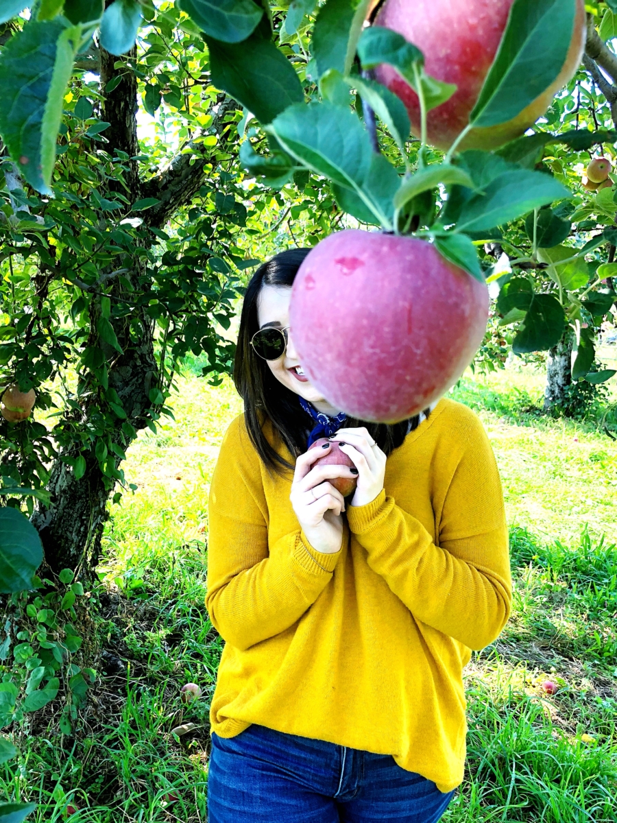 Apple Picking Upstate, NY