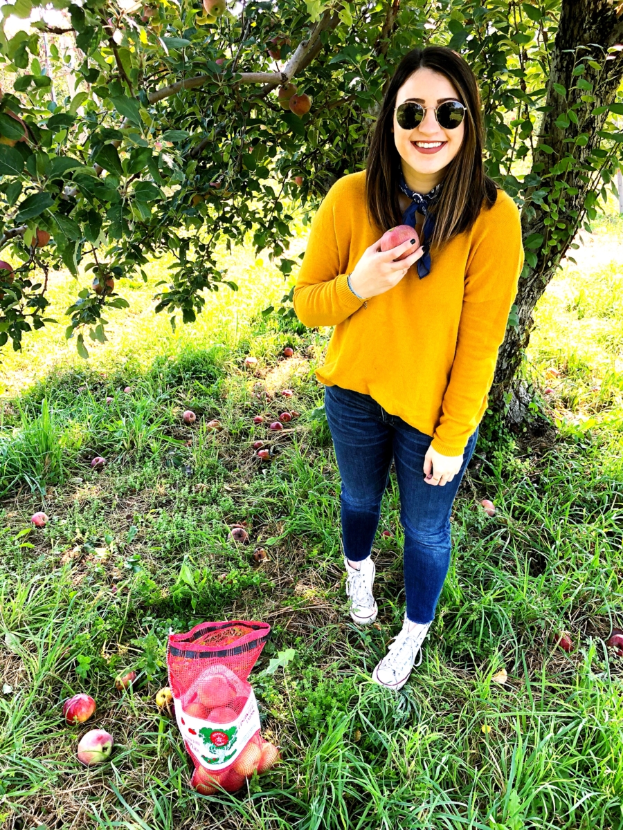 Apple Picking Upstate, NY