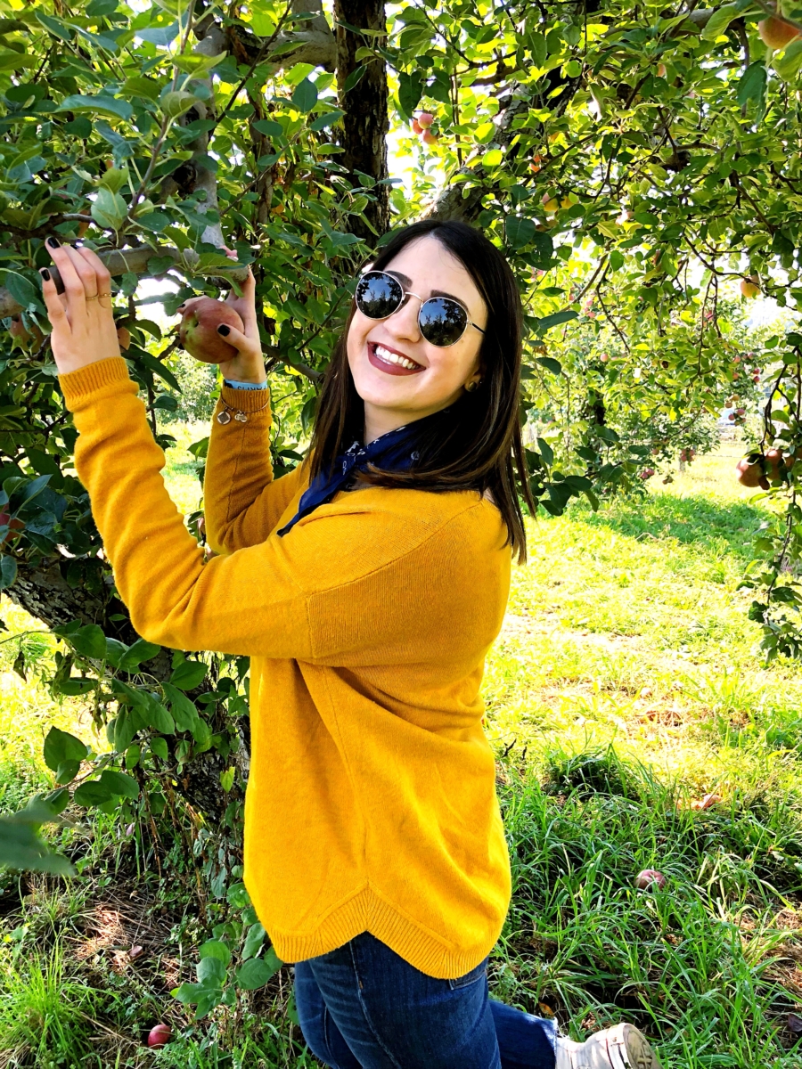 Apple Picking Upstate, NY