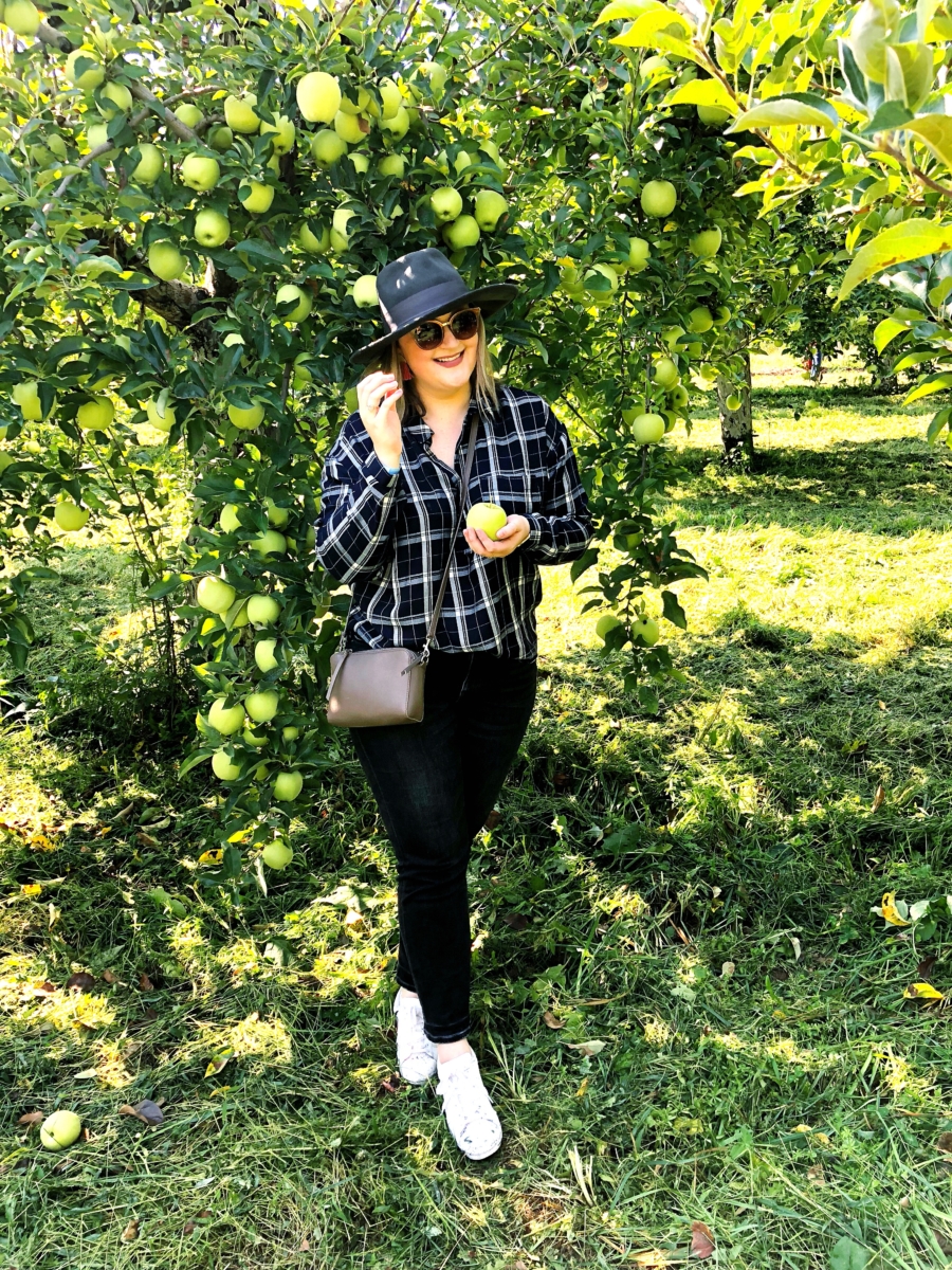 Apple Picking Upstate, NY