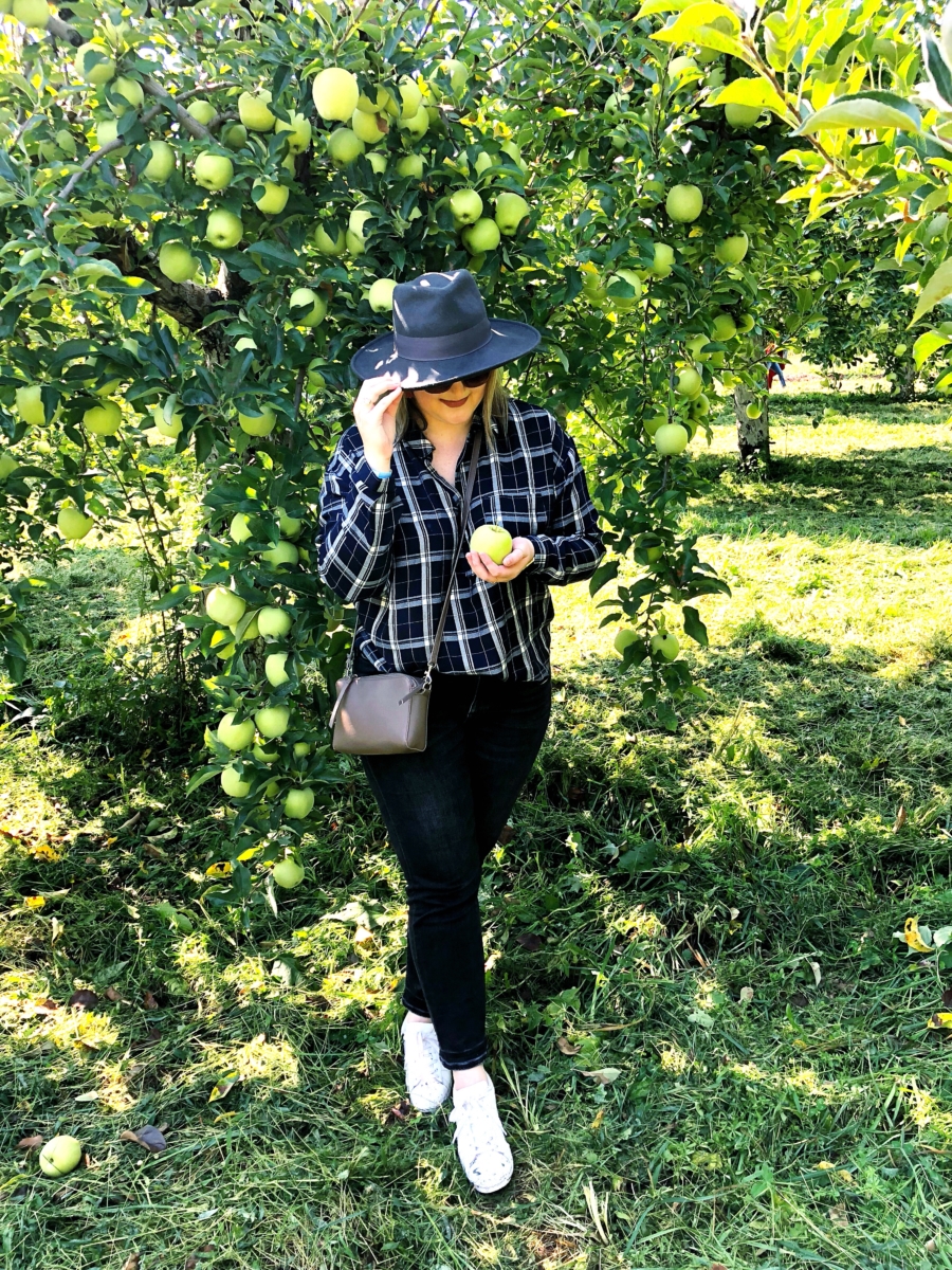 Apple Picking Upstate, NY