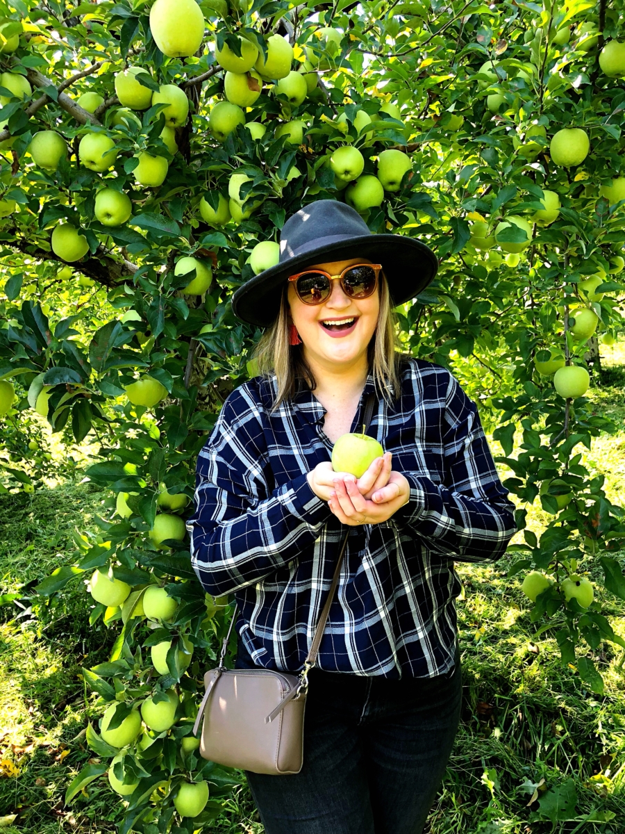 Apple Picking Upstate, NY