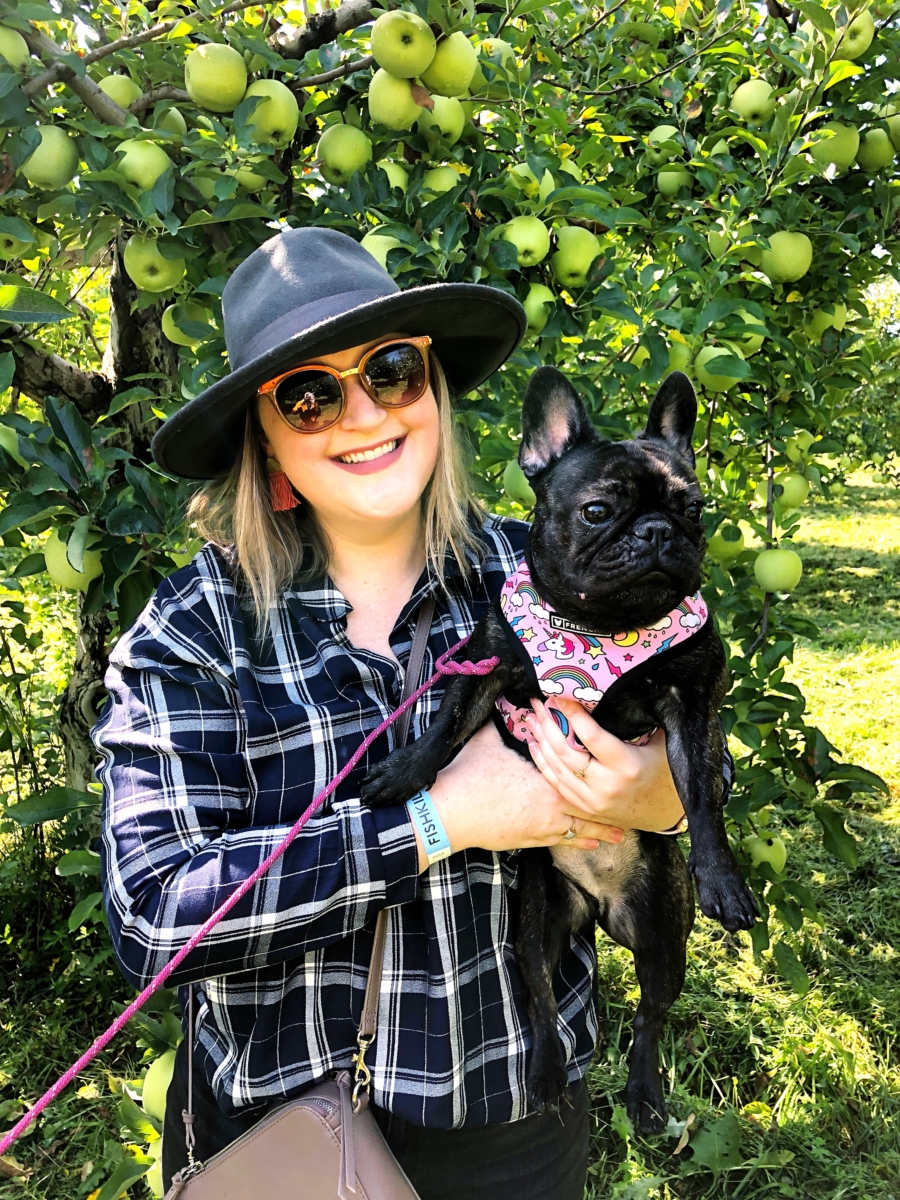 Apple Picking Upstate, NY