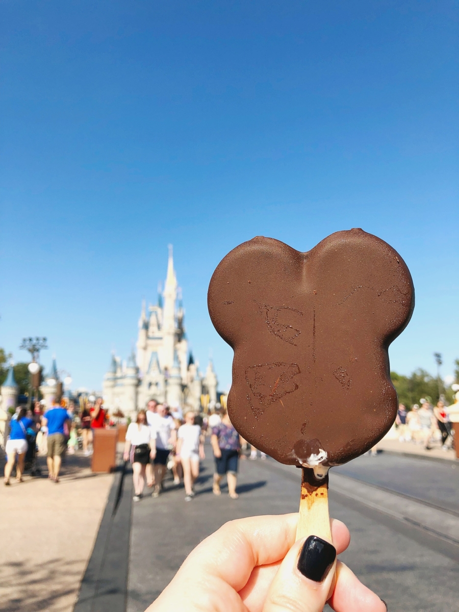 Walt Disney World | Part Two