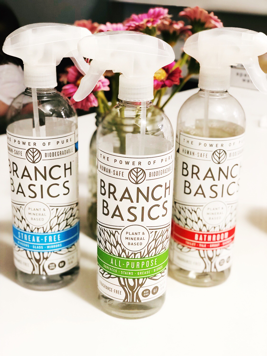 Branch Basics | Non-Toxic Cleaning Products