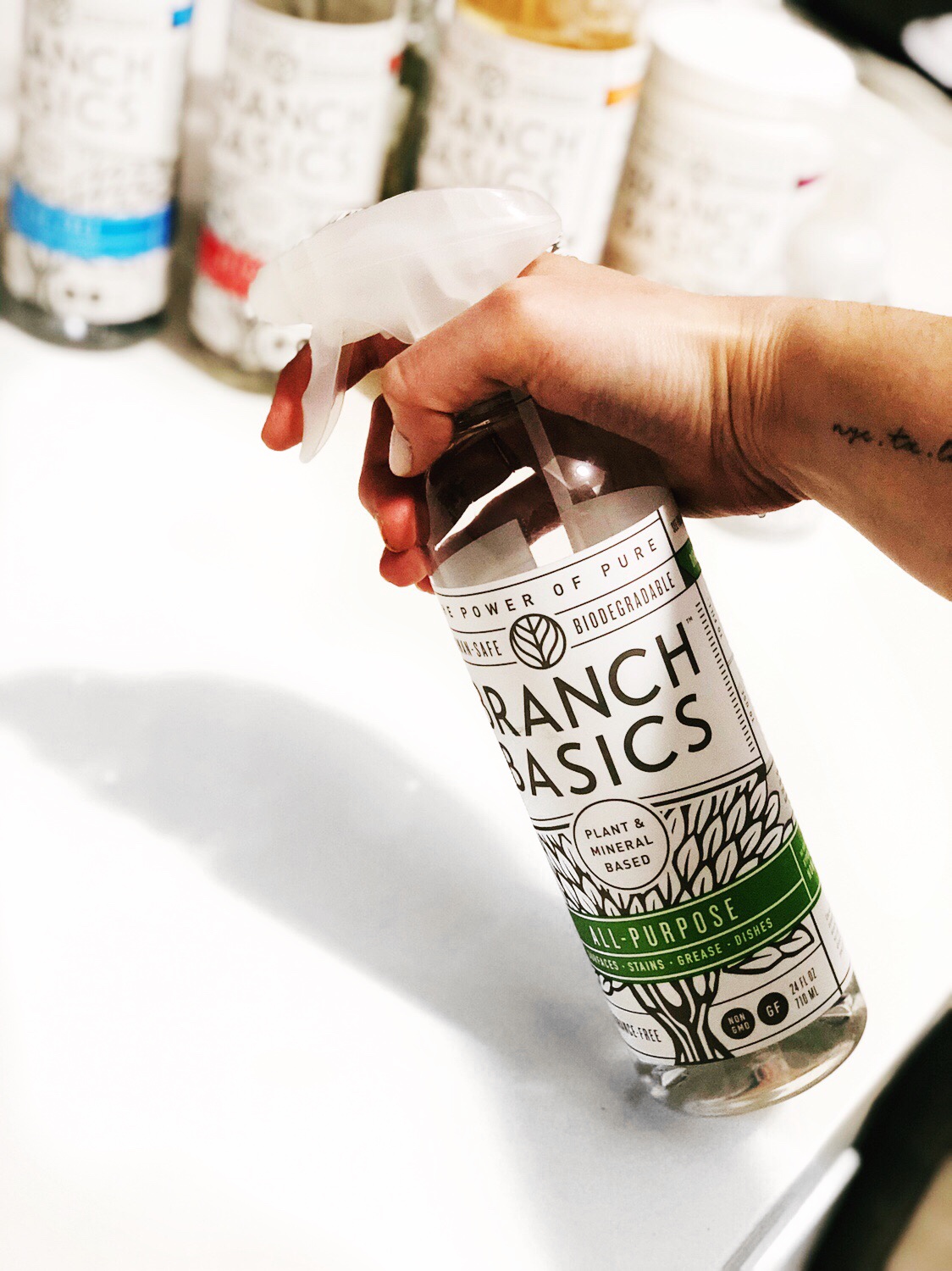 Branch Basics | Non-Toxic Cleaning Products