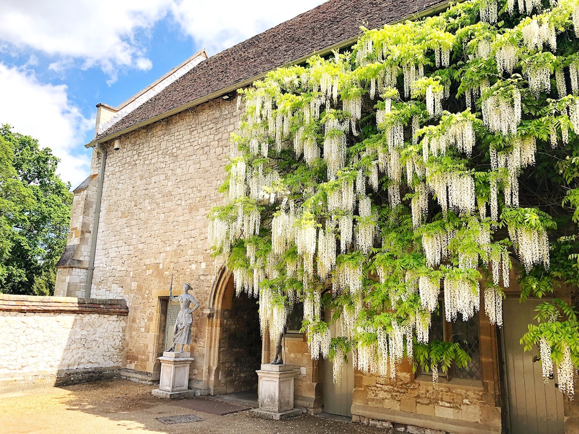 Cambridge, England | Travel Diary