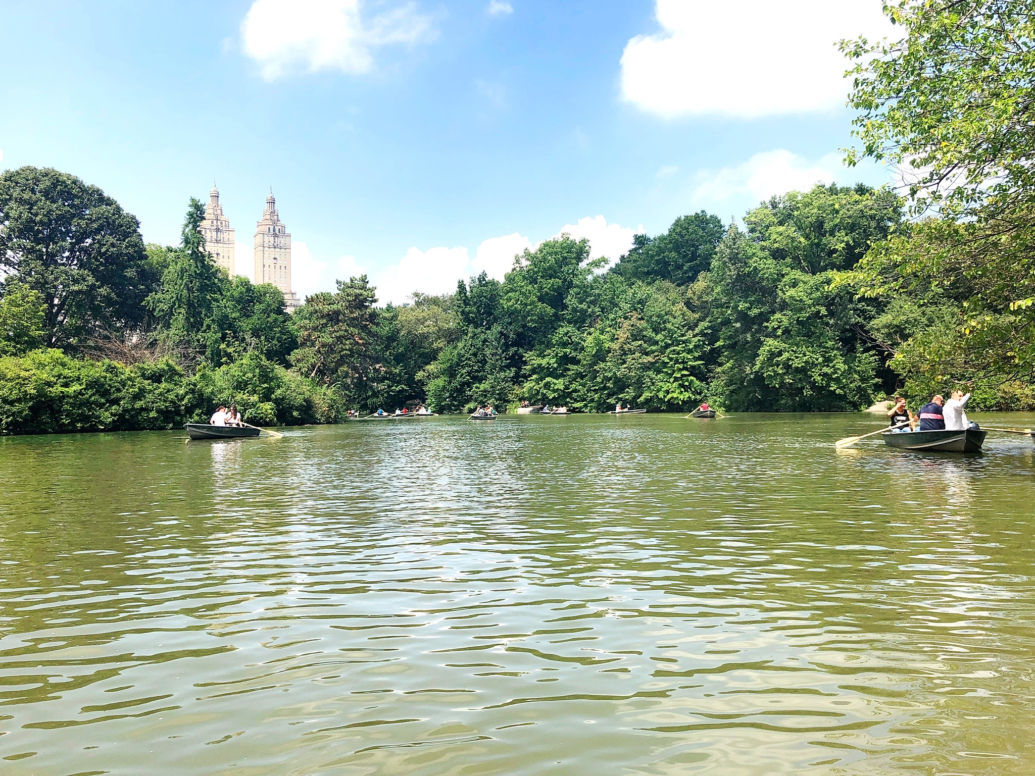 Summer In Central Park