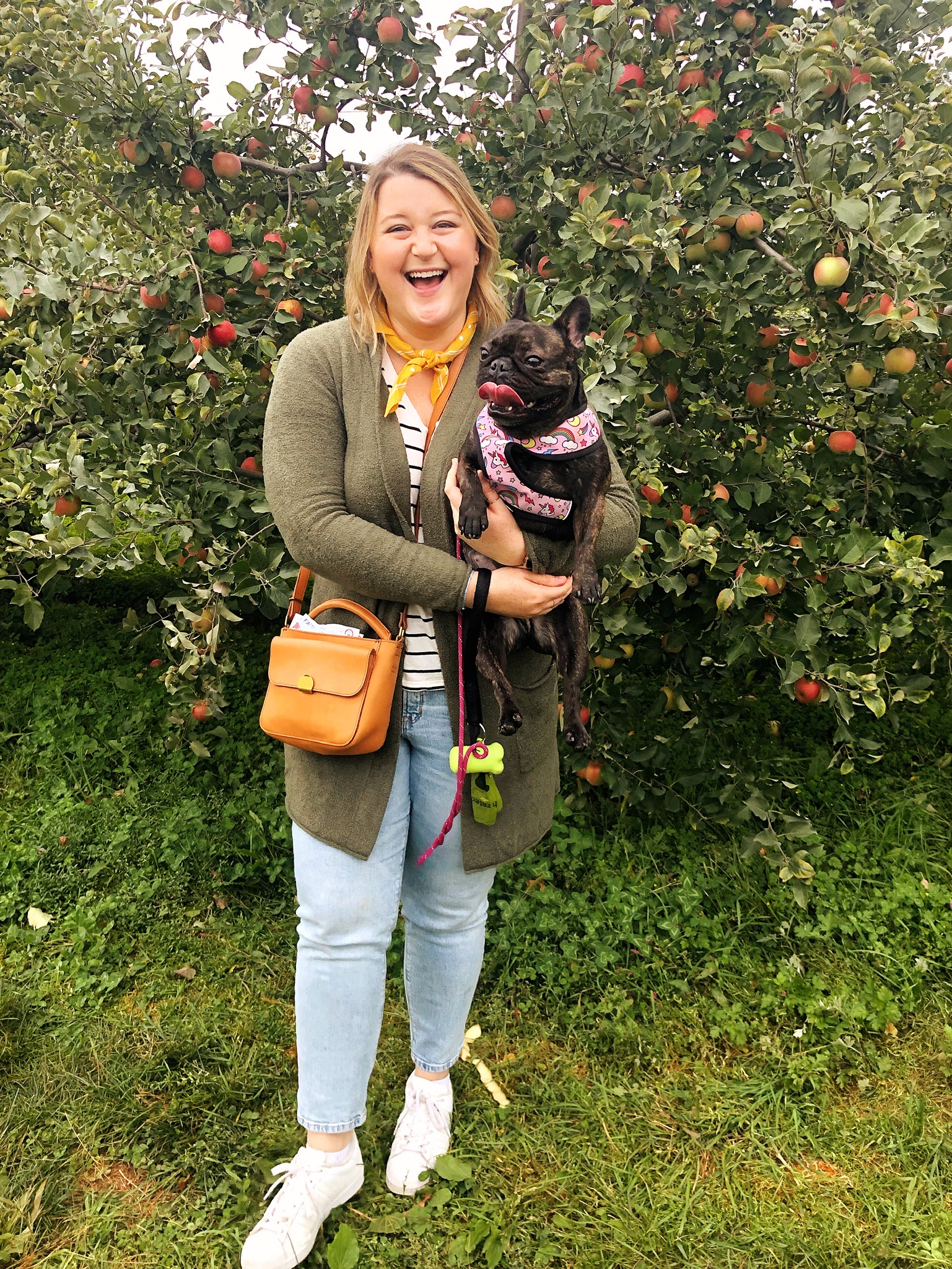 Apple Picking at Fishkill Farms