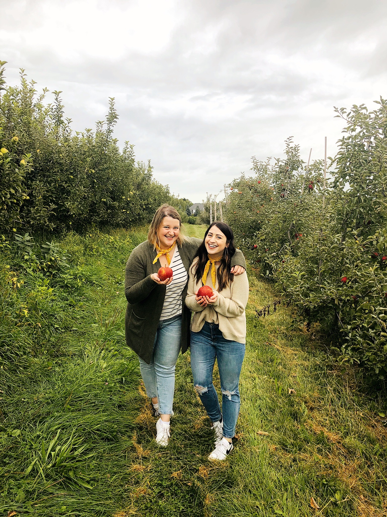 Apple Picking at Fishkill Farms