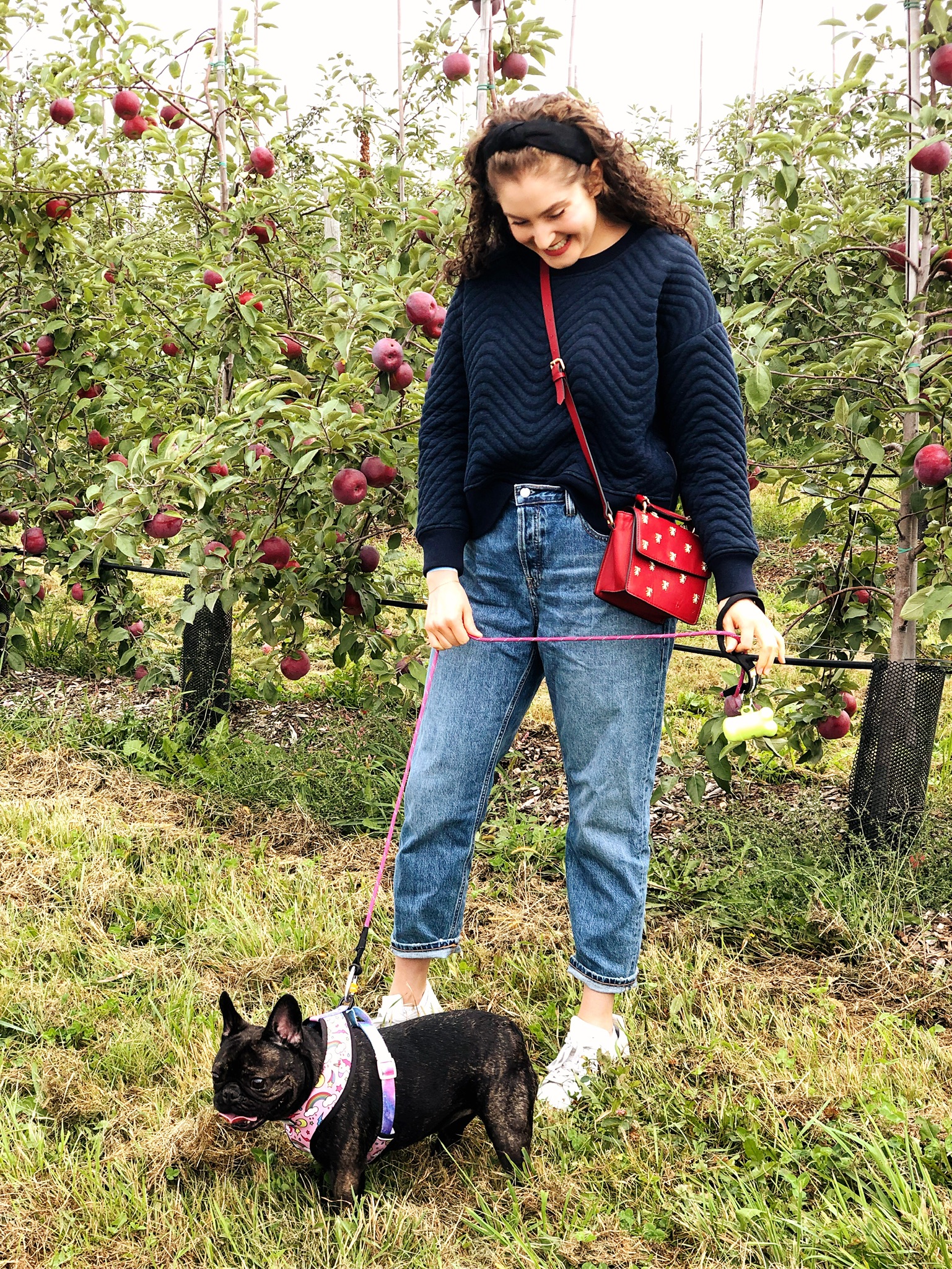 Apple Picking at Fishkill Farms