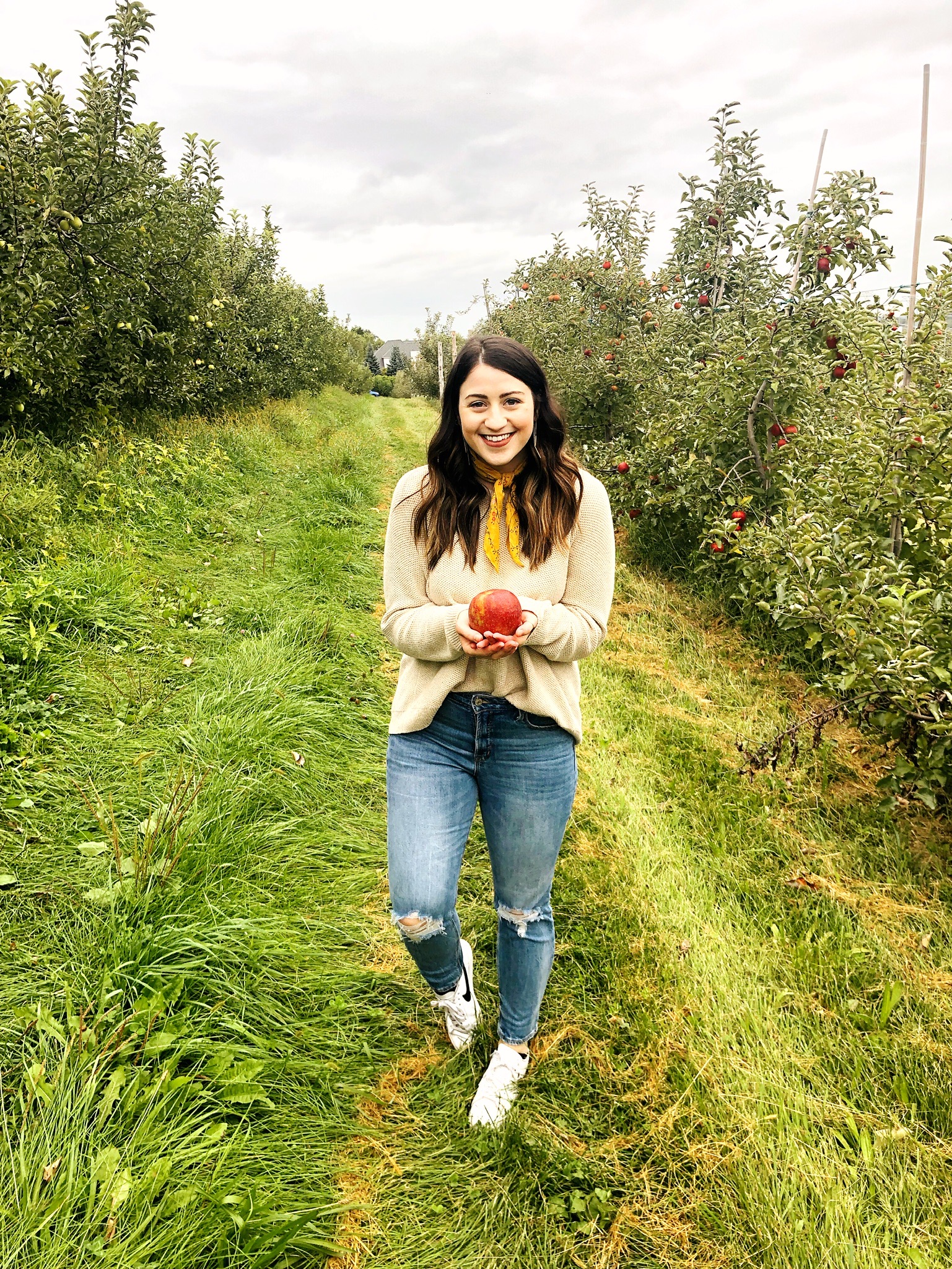 Apple Picking at Fishkill Farms